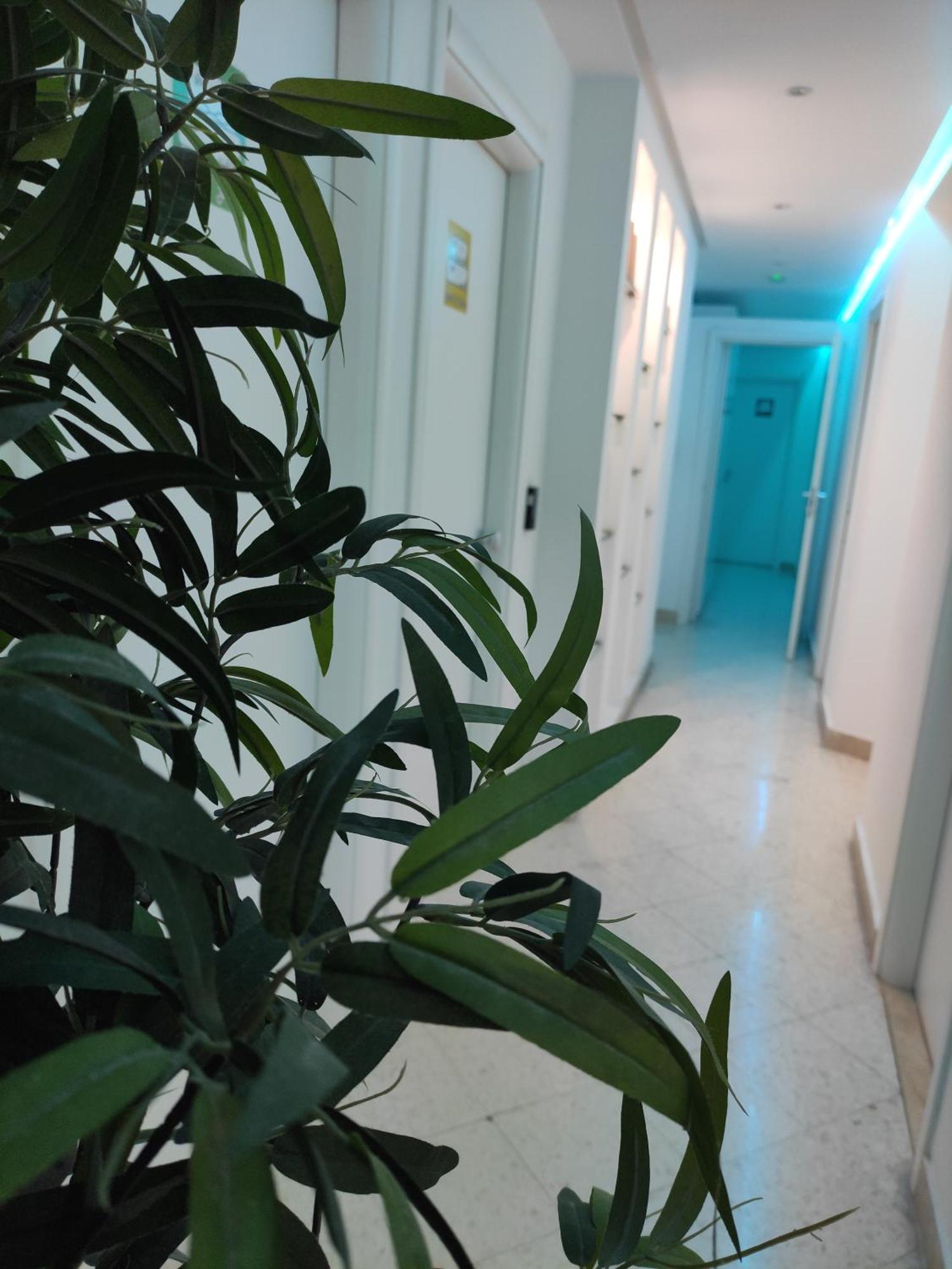 Palermo Central B&B Zewnętrze zdjęcie